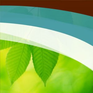 Jones Financial Group